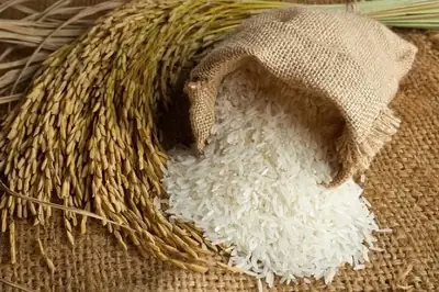Basmati Rice