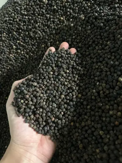 Black Pepper