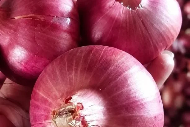 Red Onion